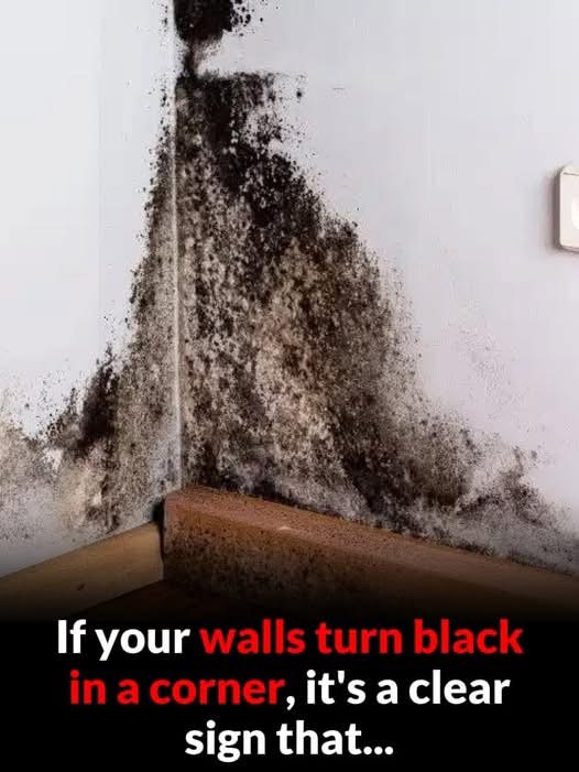 Black Wall Corners Explained