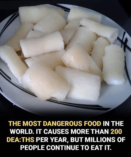 World’s Deadliest Food