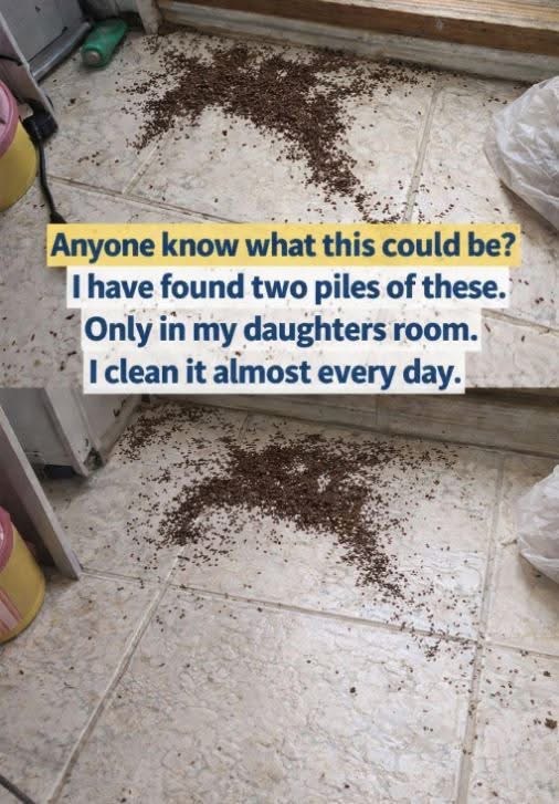 Mom Discovers Unusual Piles in Daughterโs Room โ Internet Quickly Explains