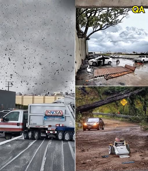 Additional Preparedness Tips for Severe Thunderstorms