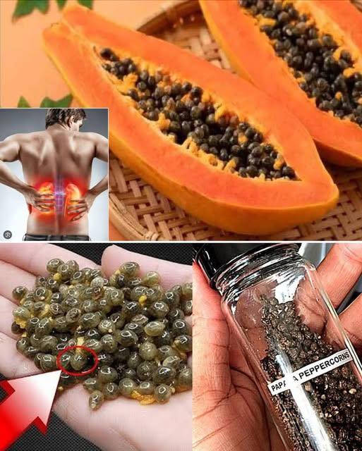 Papaya Seed Power