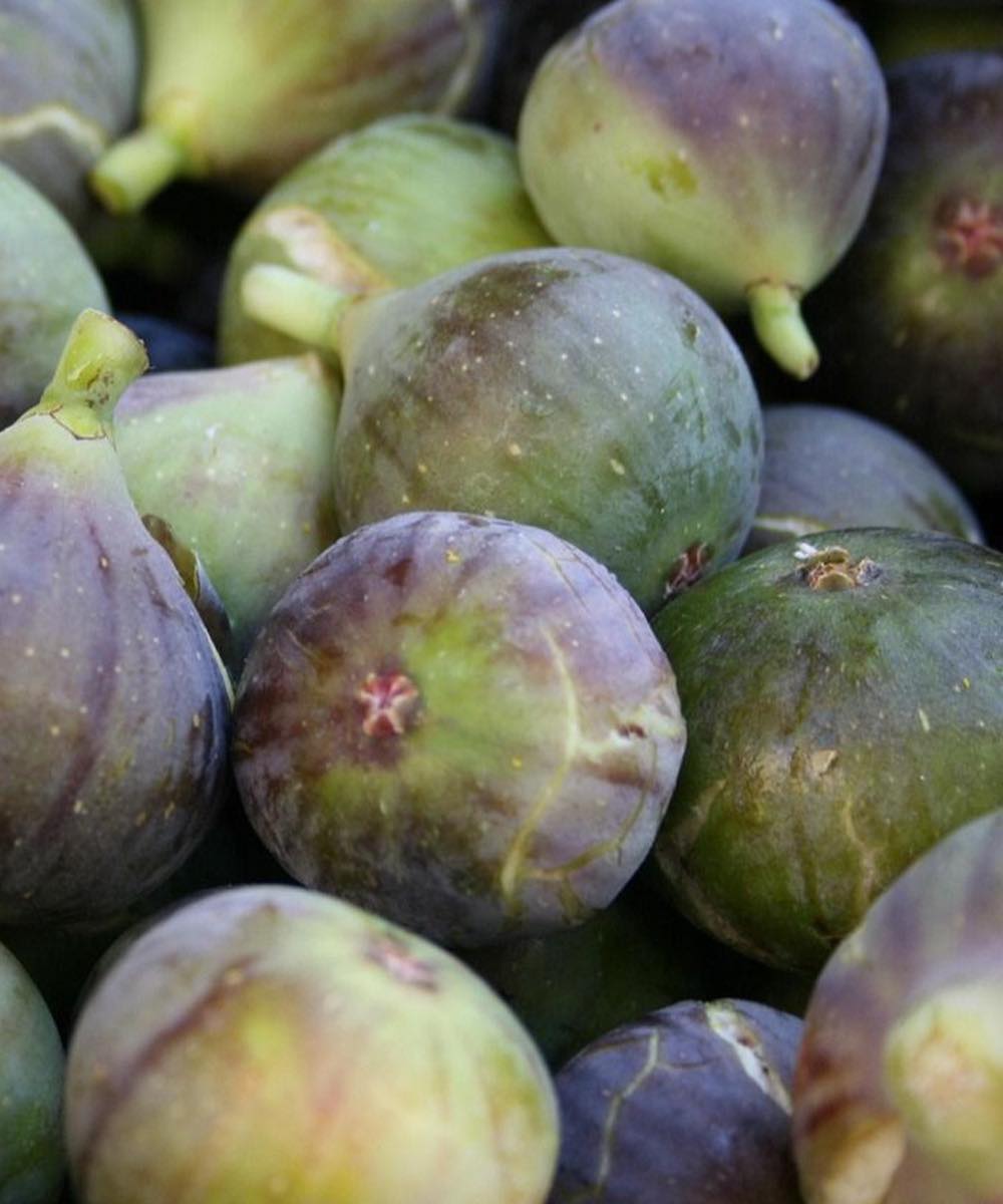 Doctors reveal that eating figs causesโฆ See moreโฆ