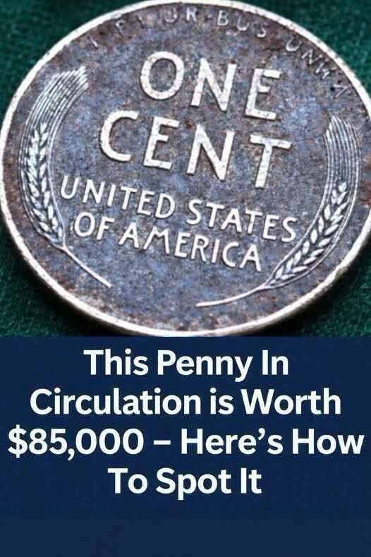 Rare Penny Worth Fortune