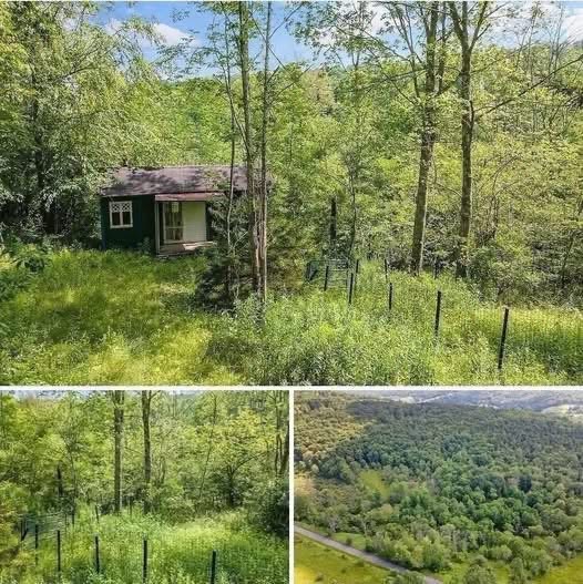 No Neighbors, No Noise: This Secluded Property Is Capturing Everyone’s Attention