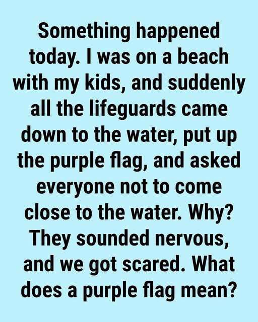 The Meaning Behind Purple Beach Flags and Why They Matter for Your Safety