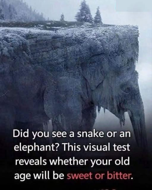 THE FIRST ANIMAL YOU SEE COULD REVEAL A SHOCKING TRUTH ABOUT HOW YOU THINK