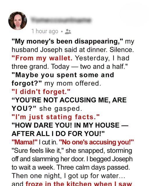 Money Kept Disappearing From My Husbandโs Wallet โ Then One Night Revealed the Truth
