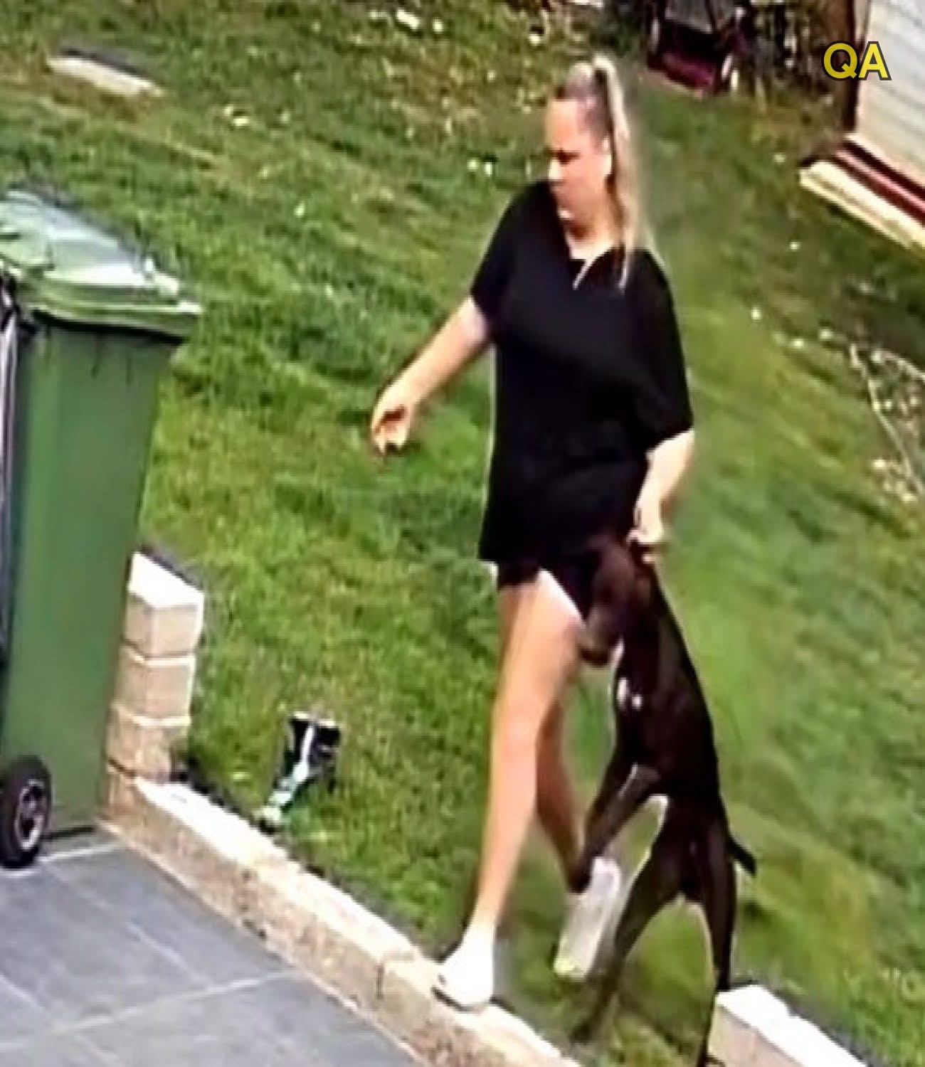 Pet sitters caught on camera kicking and dragging family dog they were paid ยฃ1,400 to look after while owners were on holiday