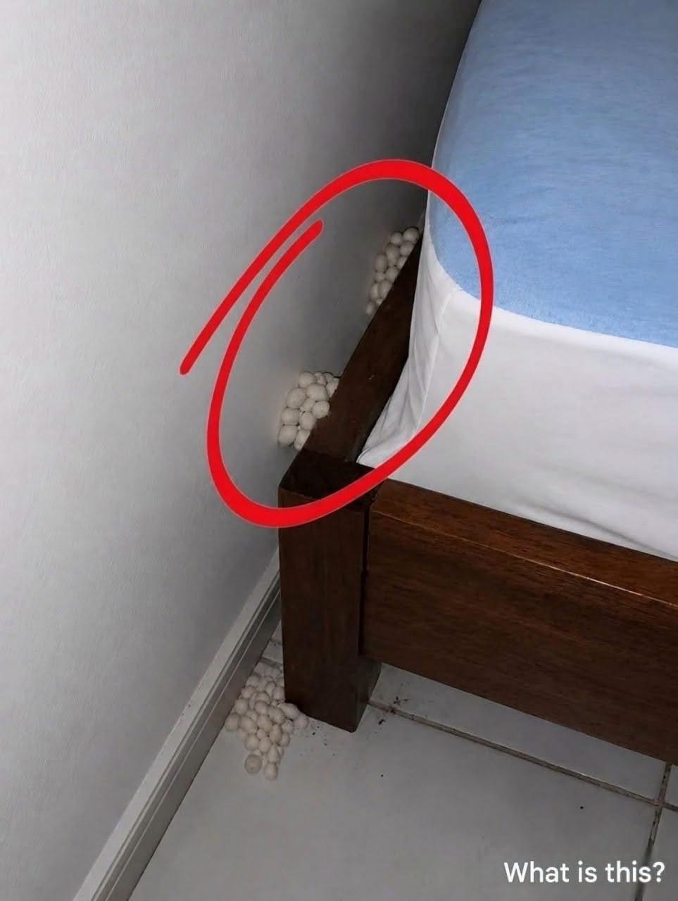 The Midnight Mystery Near the Bed: What to Do When You Find Unexplained Objects in Your Home (And How to Handle It with Grace)