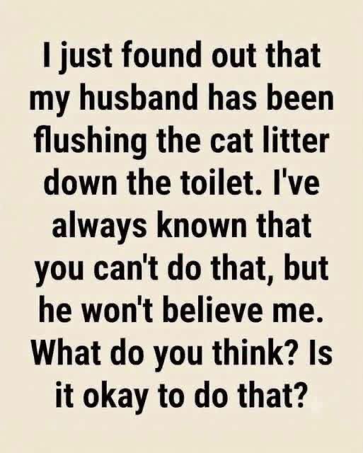 6 Things To Avoid Flushing Down The Toilet (And How to Keep Your Plumbing Happy)