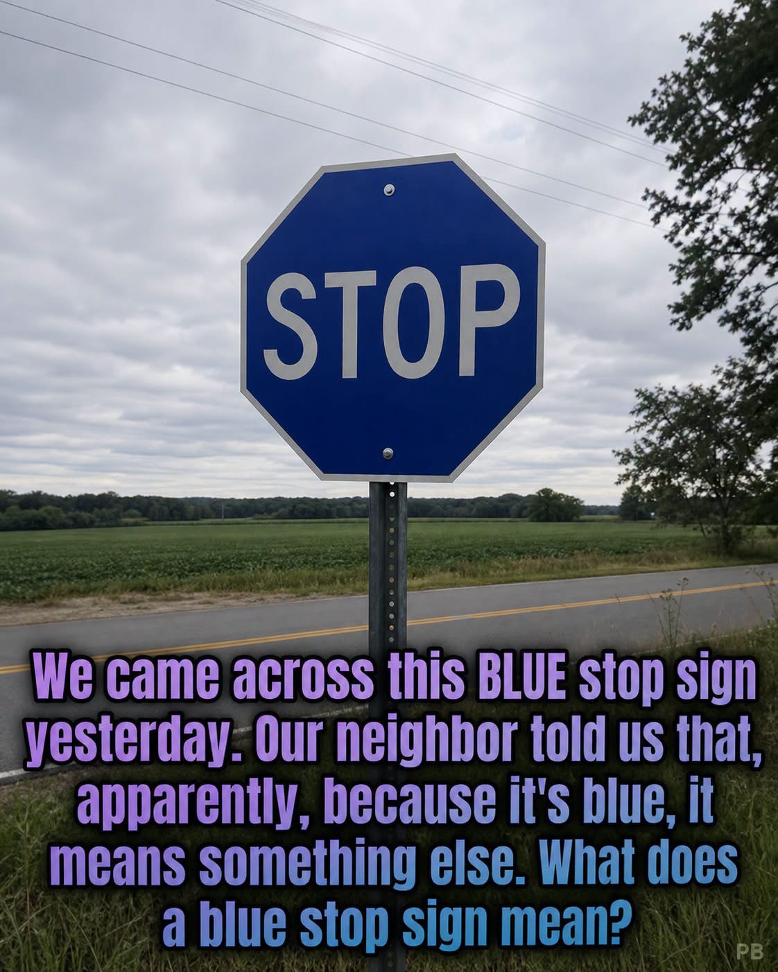 The Meaning Behind a Blue Stop Sign