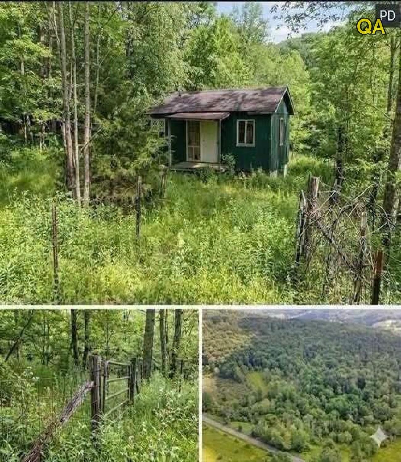 A Secluded 19000 Dollar Property Offers 15 Acres A Creek And A Tiny Bungalow