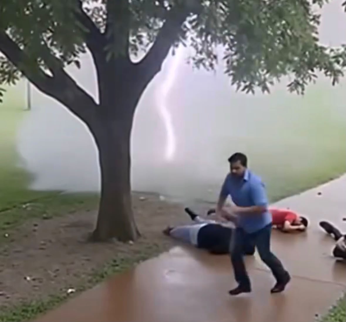 Does Video Show People Killed by Lightning Striking a Tree?