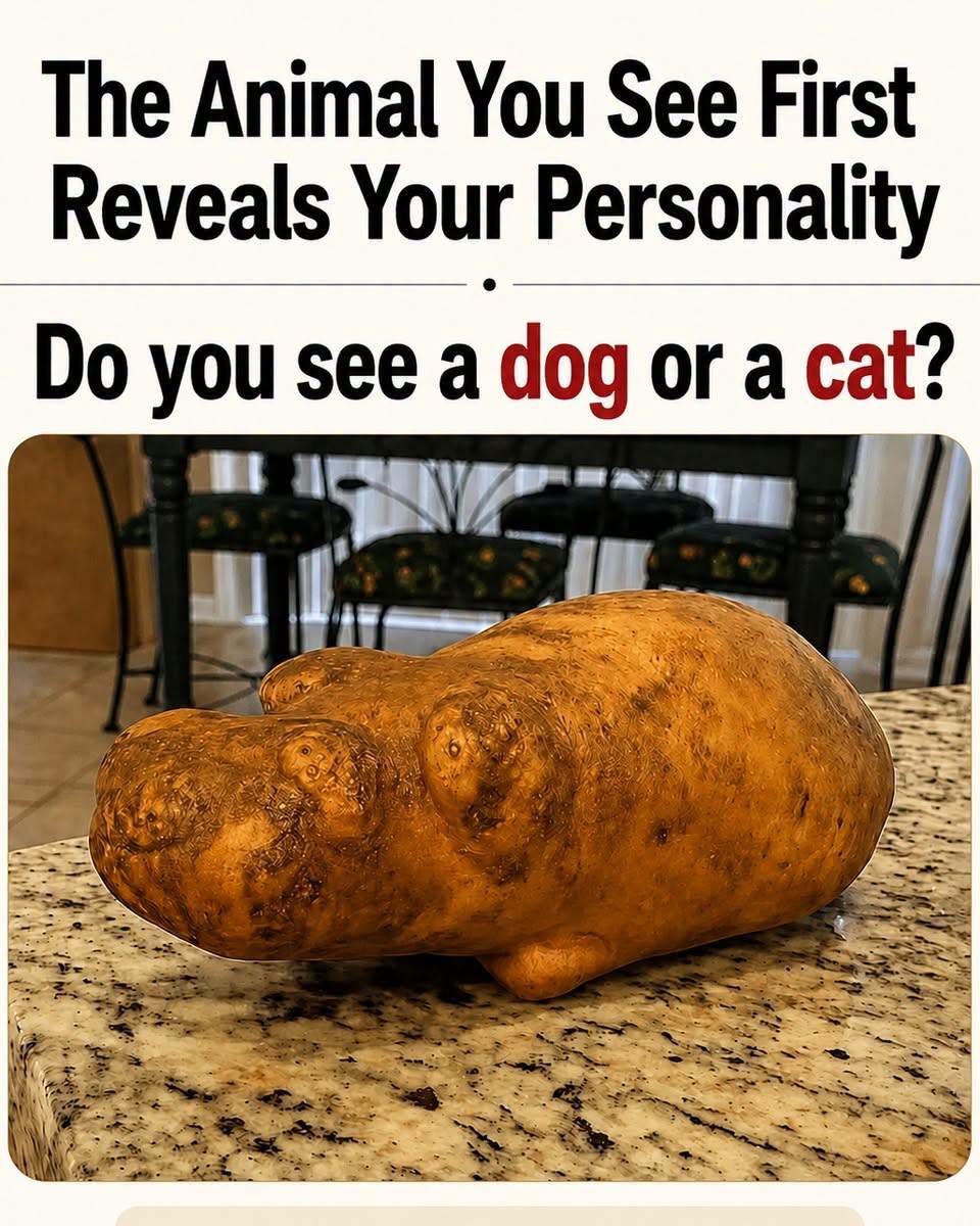 The Animal You See First Reveals Your Personality.