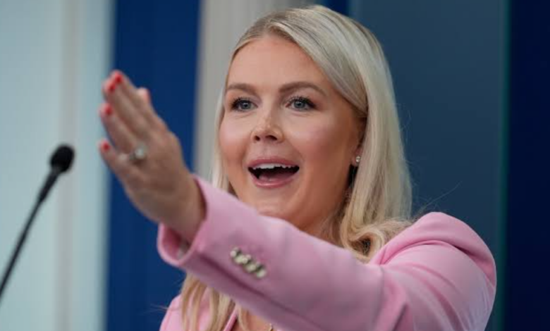 Karoline Leavitt Discusses White House Media Access and Presidential Transparency