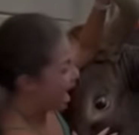 Woman’s Close Call With A Bull Highlights The Importance Of Animal Safety