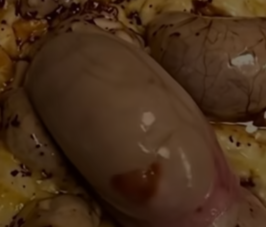 Strange Bubbles on Pizza: What Causes Those Unusual Cheese Blisters?