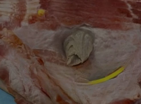 I Bought Bacon at the Grocery Store, but a Strange Discovery Made Me Question What I Was Eating